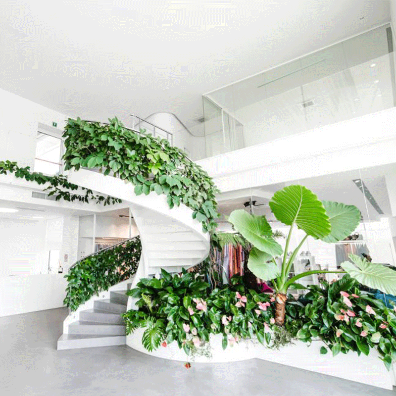Helical Concrete Stair with Climbing Plants – Pisa