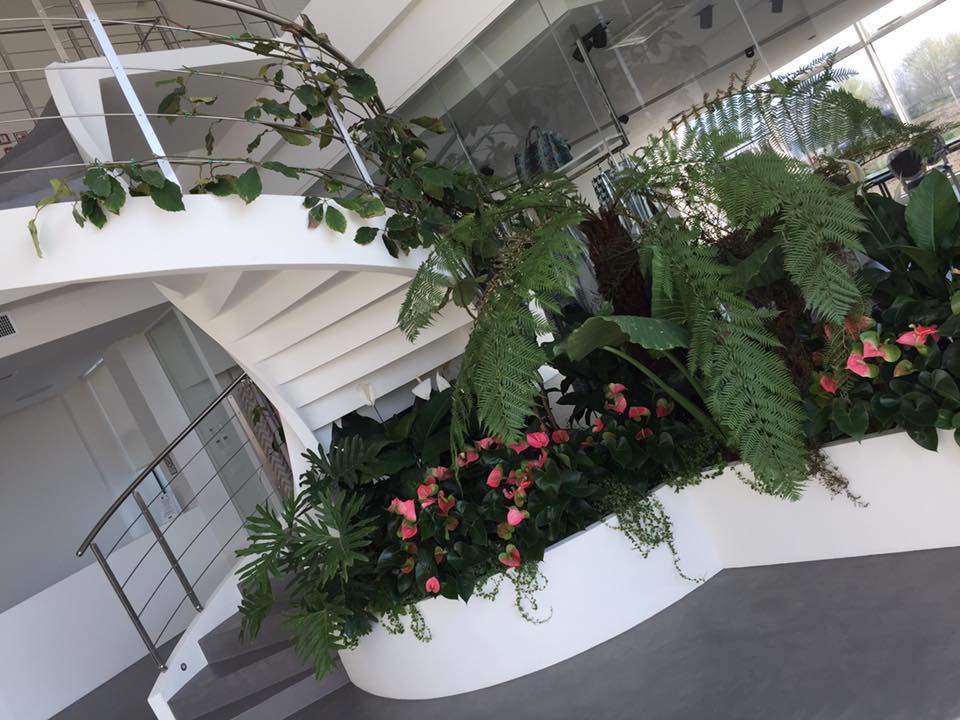 Scale elicoidali in cemento: caratteristiche e possibilità di personalizzazione