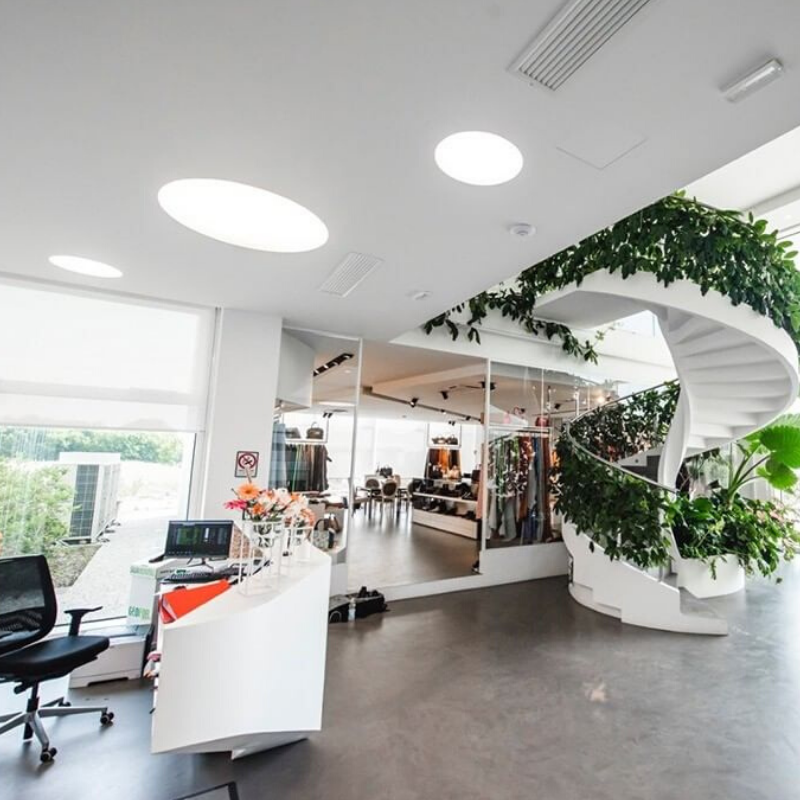 Scala da interno in cemento con piante rampicanti