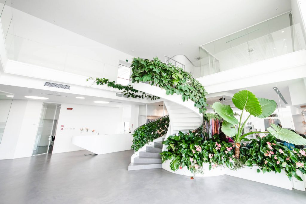 Scala da interno in cemento con piante rampicanti