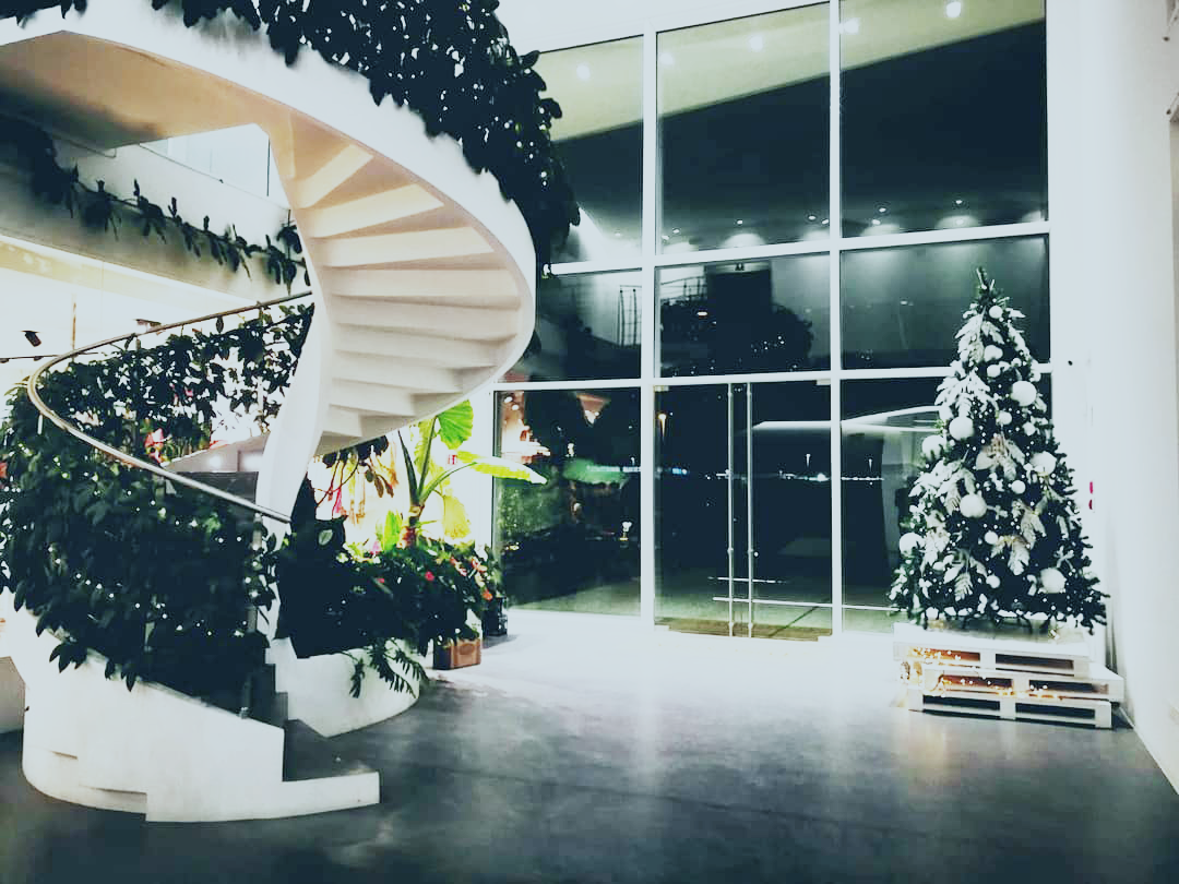 Scala da interno in cemento con piante rampicanti