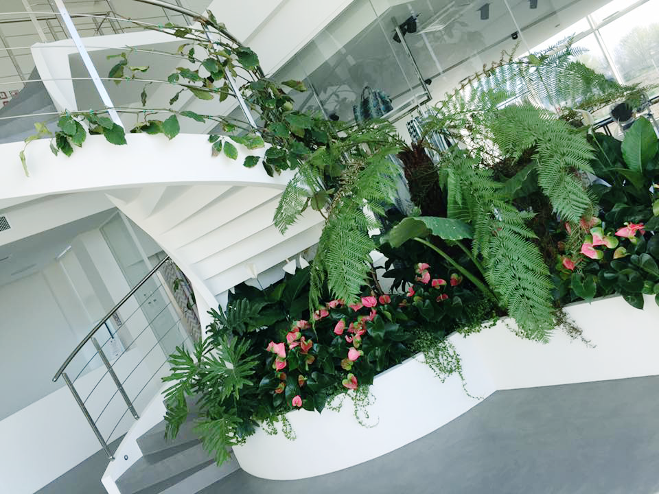 Scala da interno in cemento con piante rampicanti