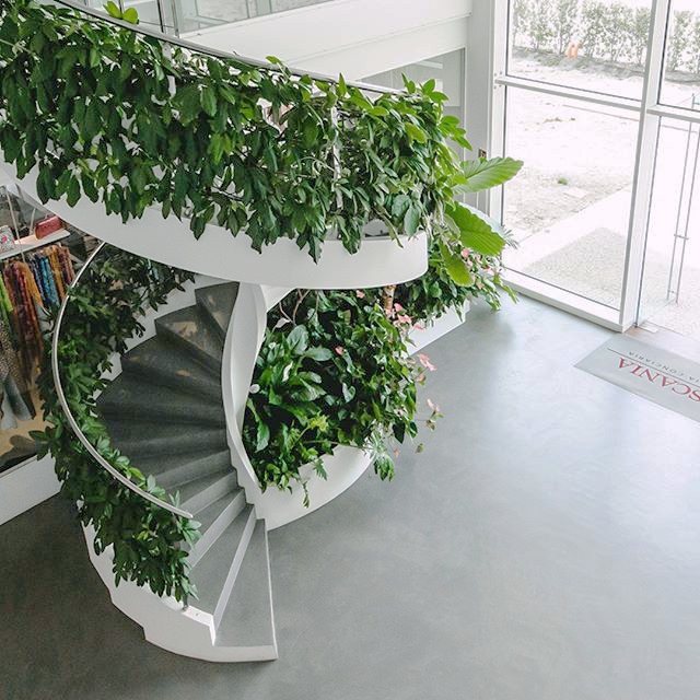 Scala da interno in cemento con piante rampicanti